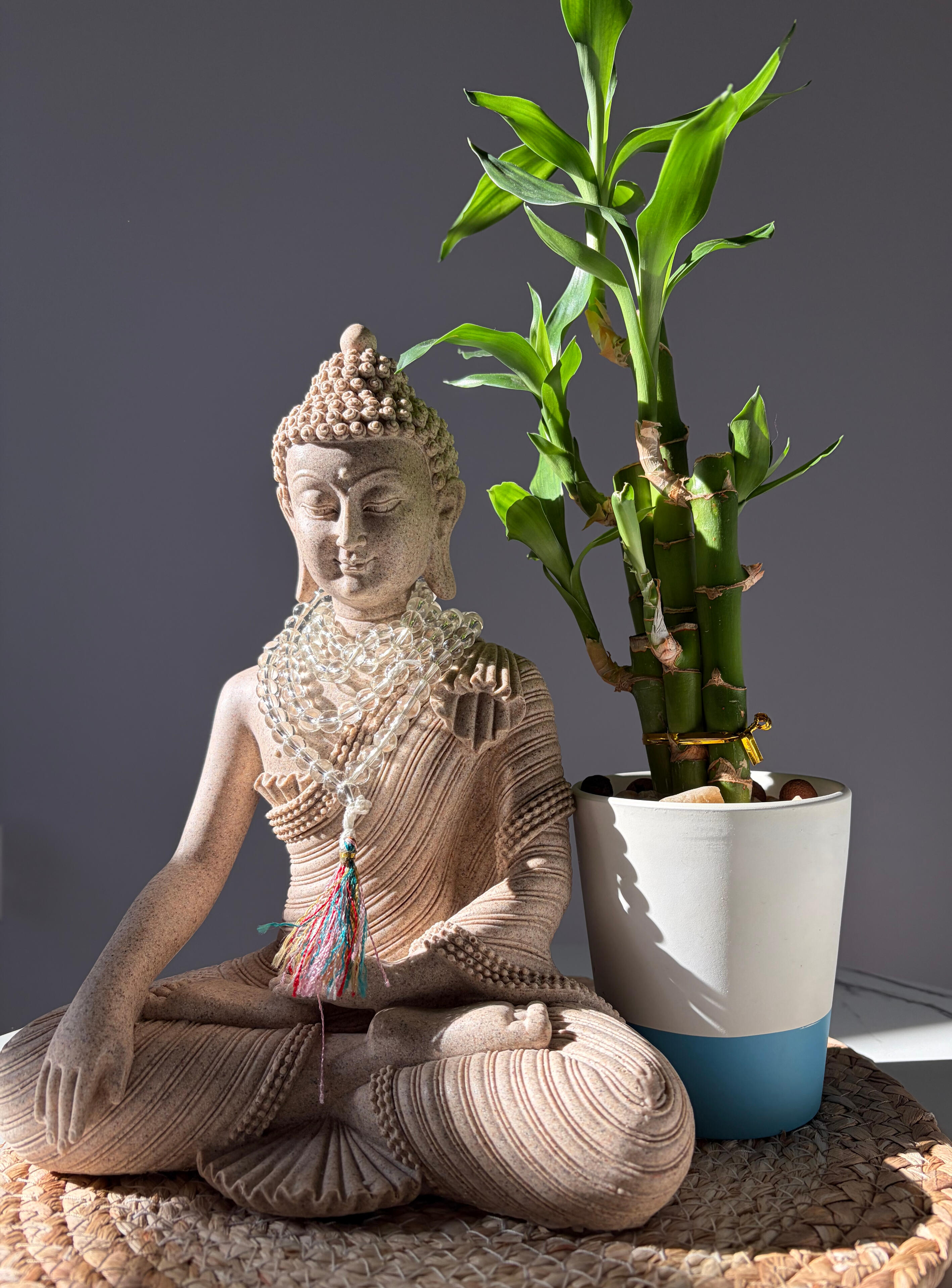 Stillwaters Reiki Holistic Stillwaters Reiki Holistic Book a Session. Madison, Wisconsin